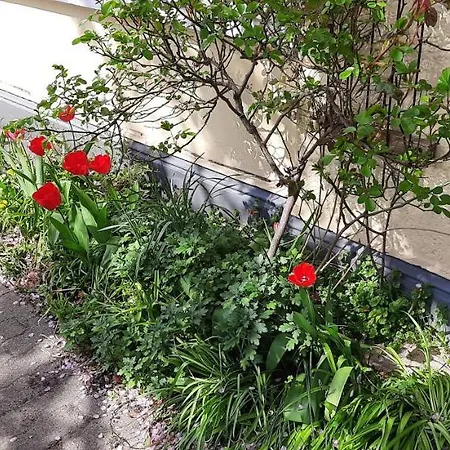 Stadtvilla - Gaestehaus Mit Gemeinschaftskueche, Hausnummer 34 Rum i privatbostad Marne