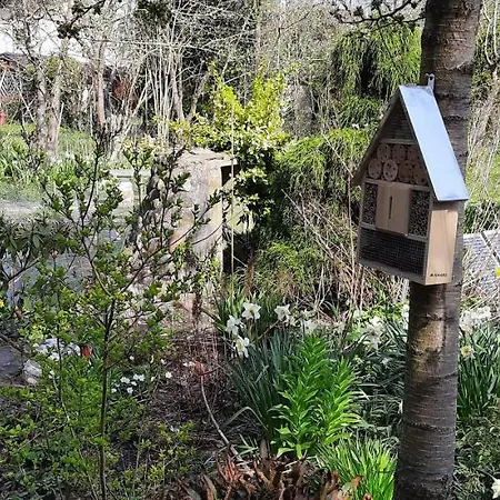 Rum i privatbostad Stadtvilla - Gaestehaus Mit Gemeinschaftskueche, Hausnummer 34