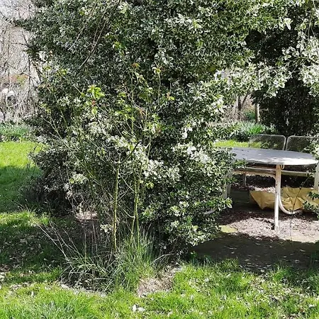 Stadtvilla - Gaestehaus Mit Gemeinschaftskueche, Hausnummer 34 Rum i privatbostad *