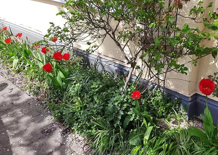 Stadtvilla - Mit Gemeinschaftsküche, Hausnummer 34 Habitación en casa particular Marne