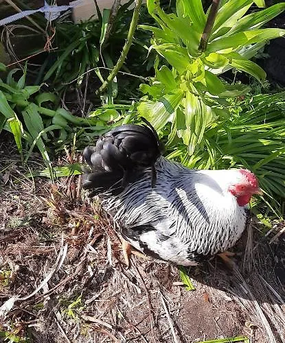 Habitación en casa particular Stadtvilla - Mit Gemeinschaftsküche, Hausnummer 34 *