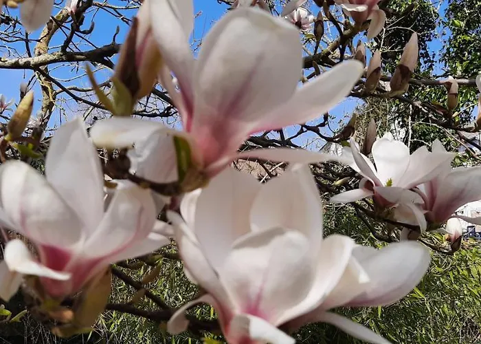 Habitación en casa particular Stadtvilla - Mit Gemeinschaftsküche, Hausnummer 34