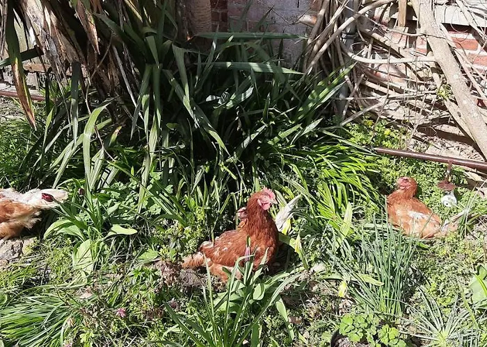 Habitación en casa particular Stadtvilla - Mit Gemeinschaftsküche, Hausnummer 34